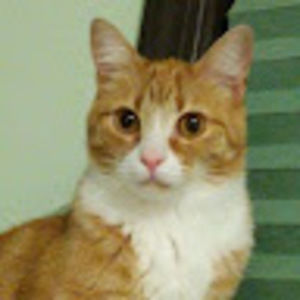 Meet your Posher, Mayumi